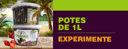 Capitão Açaí - Potes de 1L e 250G